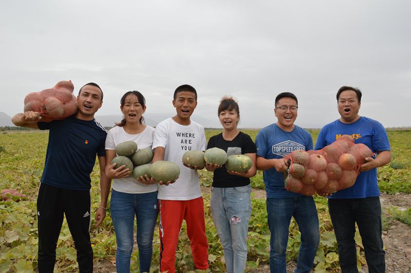 板栗南瓜丰收 (2)_副本.jpg